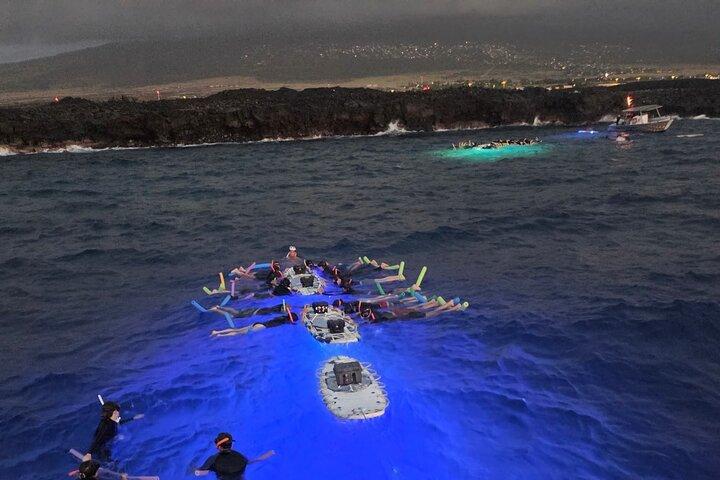 Glow of the Deep : Snorkeling notturno con le mante