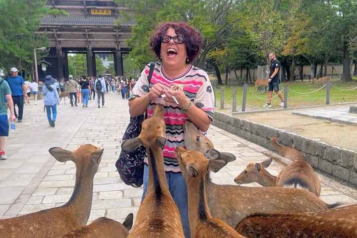 Weltkulturerbe Kyoto & Nara Uji Authentische Matcha Erfahrung