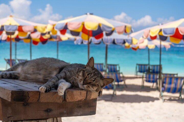 Lazy Phi Phi e Khai Waterslide in catamarano da Phuket