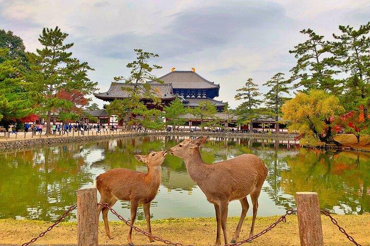 Osaka & Nara : Visite guidée privée Anglais depuis Kyoto