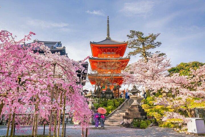 Kyoto & Nara : Excursion privée d'une journée en véhicule de luxe et Guide Anglais
