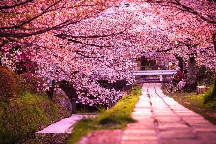 Kyoto: Excursão privada com Guia Inglês e Pickup do Hotel