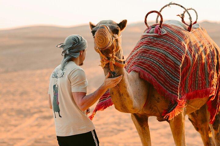 Arabiska äventyr Spännande Desert Safari