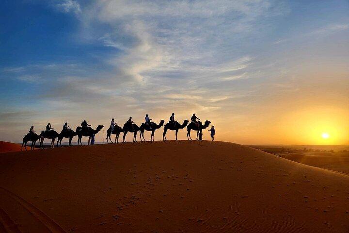 Marrakech 2-Hours Quad Bike & Camel Adventure with Moroccan Tea