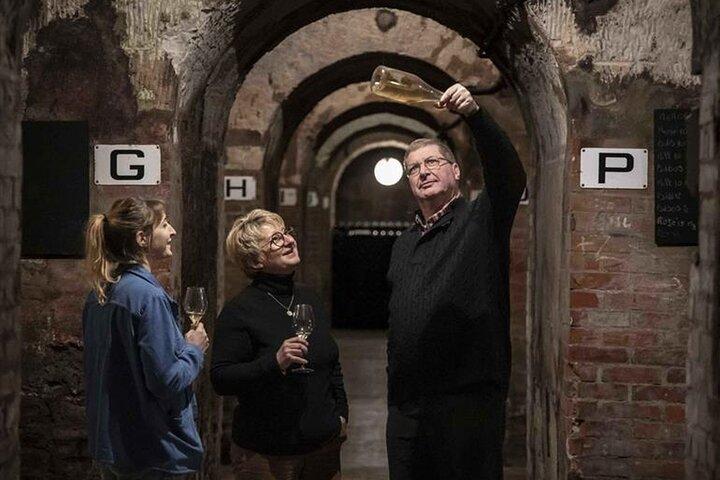 Tour e degustazione della cantina di champagne