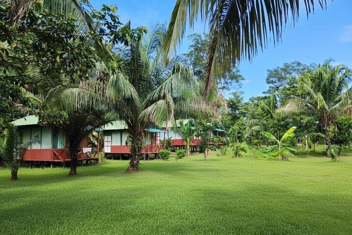Tambopata Eco Jungle 3 Tage Tour : (Natur und Tierwelt)