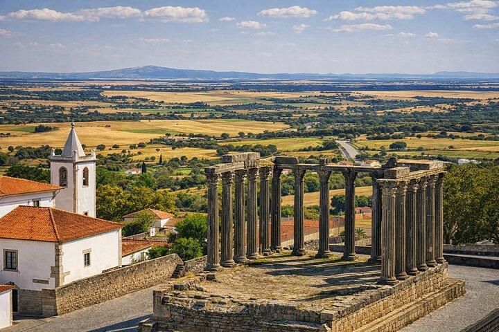 Excursión privada de un día desde Lisboa con visita a la bodega