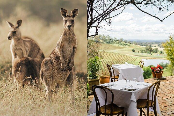 Vida silvestre, bodegas e historia || Tour privado de lujo desde Sydney