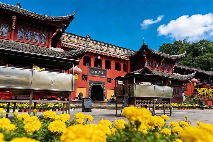 Private Tagestour von Shanghai nach Chengdu mit dem Flugzeug: Leshan Giant Buddha und Pandas