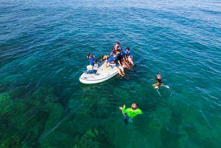 Snorkeling per non nuotatori con foto Tour guidato Wailea Beach