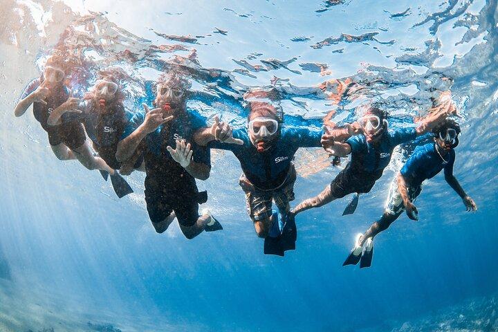 Snorkeling per non nuotatori con foto Tour guidato Wailea Beach
