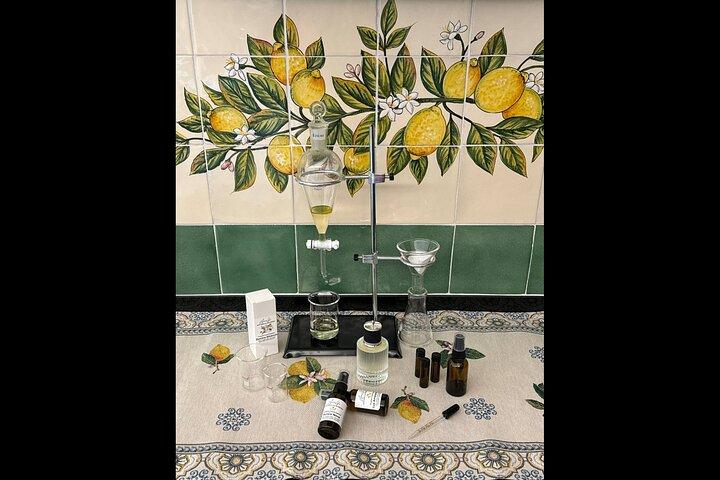 Amalfi : Tour Biologico del Limone + Limoncello + Miele + Degustazioni di Vini