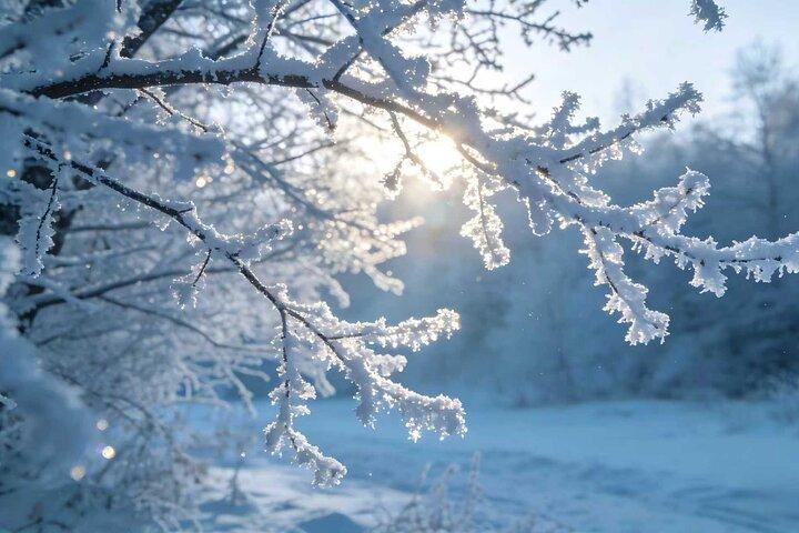 ランチとケーブルカーを含む餃子雪山への昆明プライベート日帰りツアー