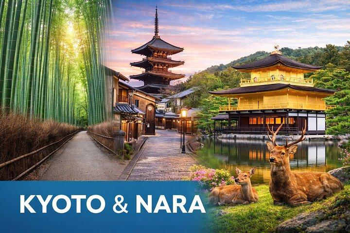 Kyoto & Nara: Excursão privada de um dia por veículo de luxo e Guia Inglês