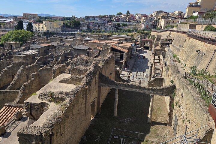 Herculaneum Private Guided Tour com ida e volta