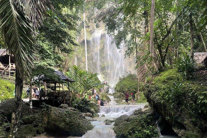セブジンベイザメ遭遇＆モアルボアルイワシ＆ツマログの滝
