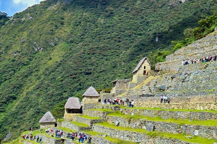 Excursion en train d'une journée au Machu Picchu au départ de Cusco avec billets