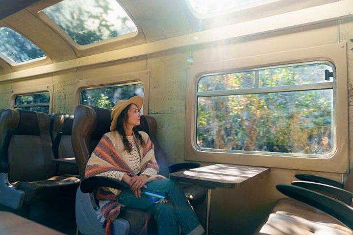 Machu Picchu Full Day Tour from Cusco by Train