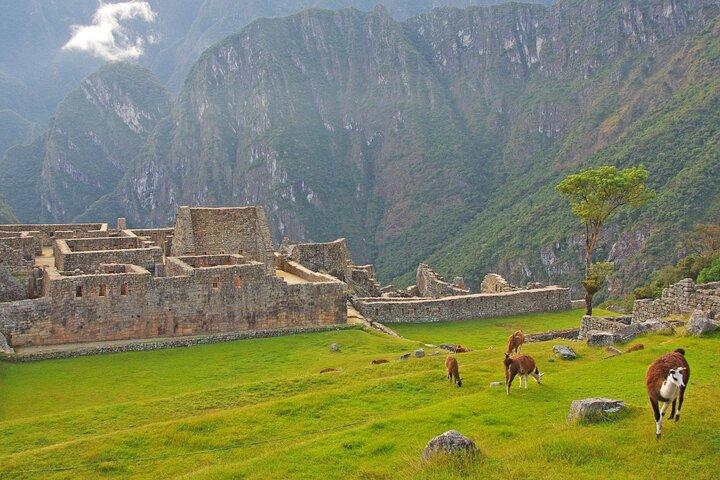 Machu Picchu Full Day Tour from Cusco by Train