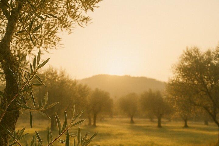 De Nafplion: Ancient Argos & Olive Oil Experience