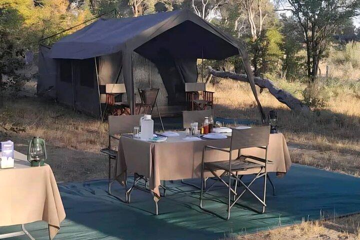 Steenbok Trail Safari - 7 noches / 8 días