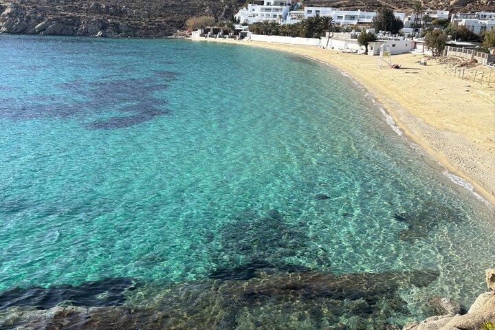ミコノス島2時間のプライベートツアー（現地エキスパート付き）