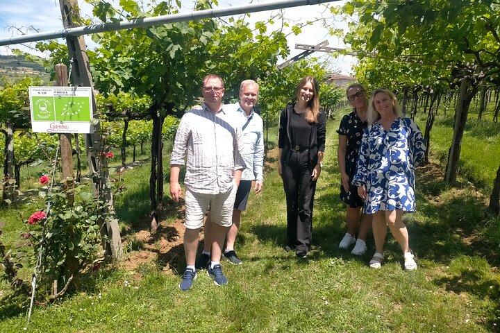 Amarone & Soave Wine Tour com Sommelier – Visite Verona