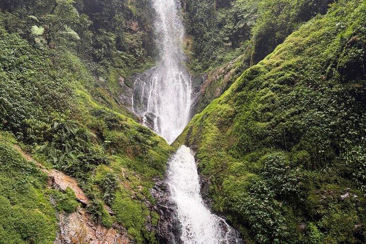 9 - Day Best Ruanda Safari Gorillas, Big Five, Nyungwe & Lake Kivu