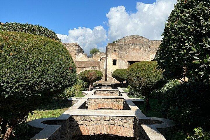 Pompeji med en arkæolog delt eller privat tur fra Salerno