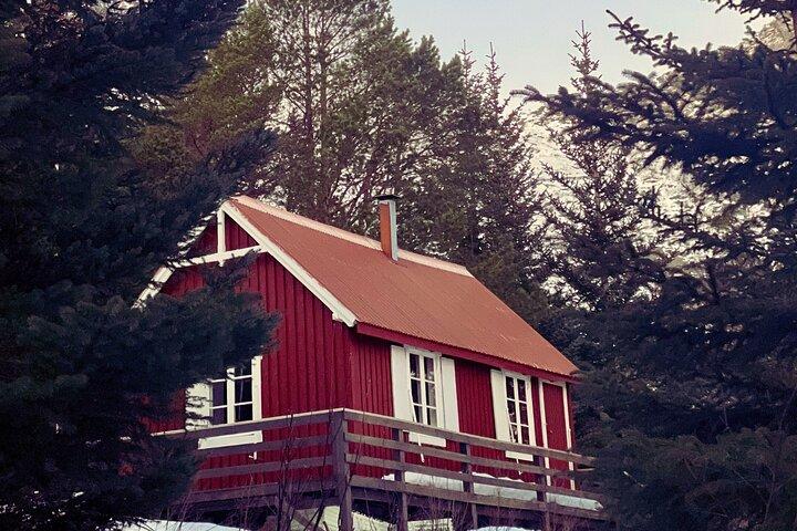 Aventura con raquetas de nieve en Lofoten con pesca en hielo y retiro de cabaña