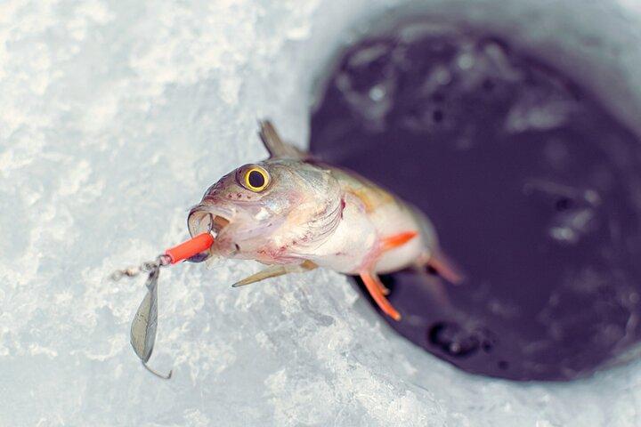Aventura con raquetas de nieve en Lofoten con pesca en hielo y retiro de cabaña