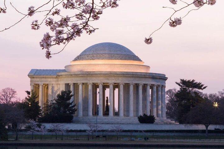 DC Cherry Blossoms Insiders Tour