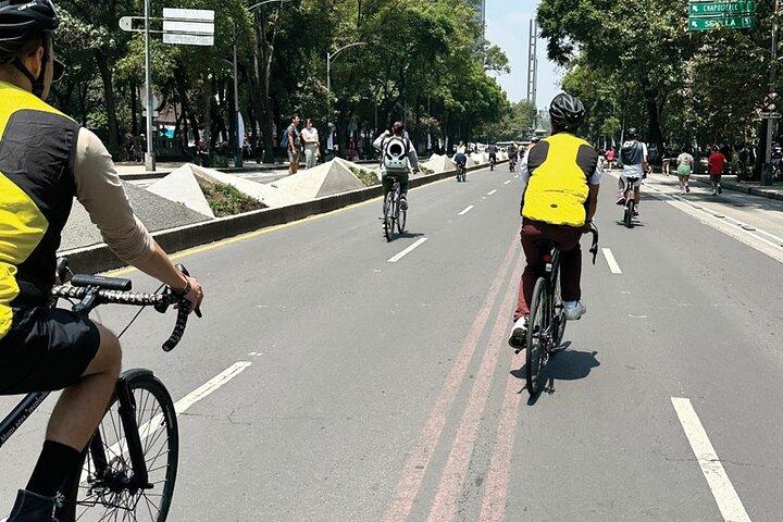 Söndag Cykeltur Genom Mexico City