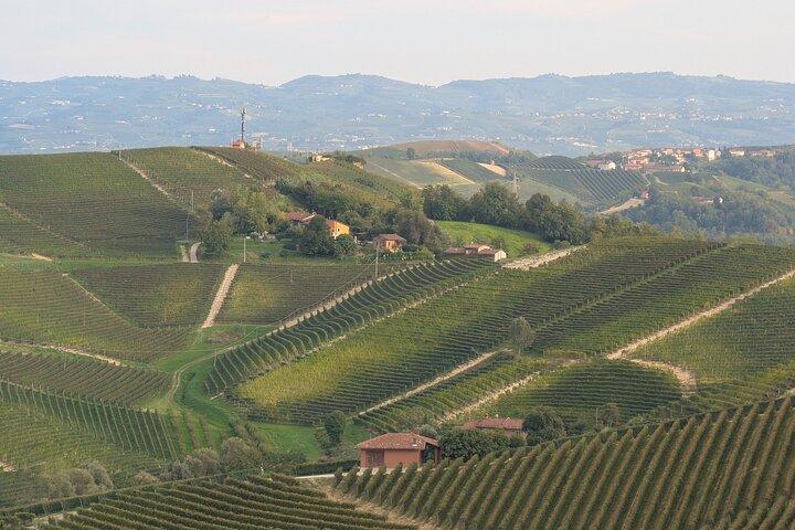 With Edo - Private Barolo Without the Crowds · From Turin