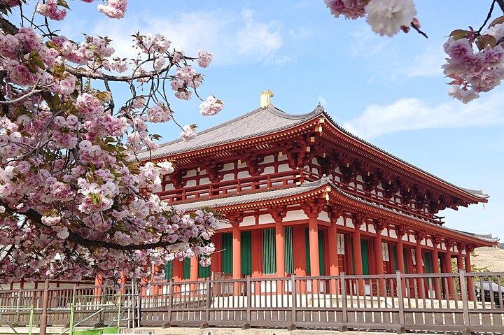 Partenza da Osaka & Kyoto: Classic Nara Park & Fushimi Inari Tour