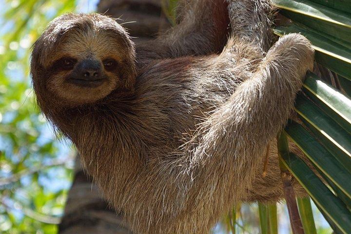 Custom Private Roatan Shuttle Tour: Explore at Your Own Pace