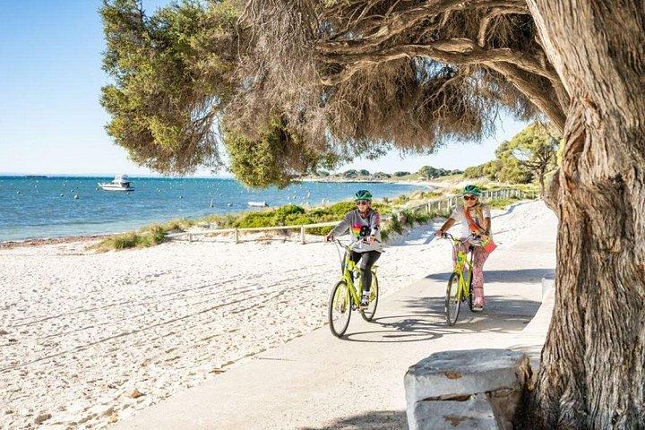 The Best of Rotto – The Local Experience Package