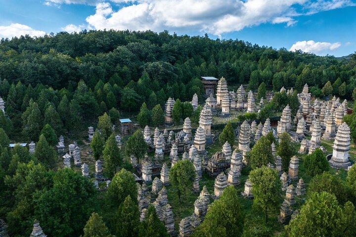 Excursion d'une journée privée tout compris à Luoyang au temple Shaolin et aux grottes de Longmen