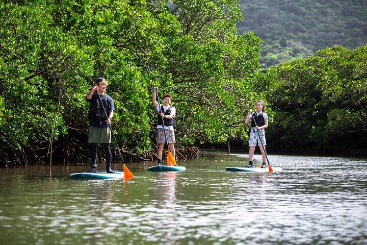 Ishigaki Mangrove Canoe ou SUP & Taketomi Island Exploration