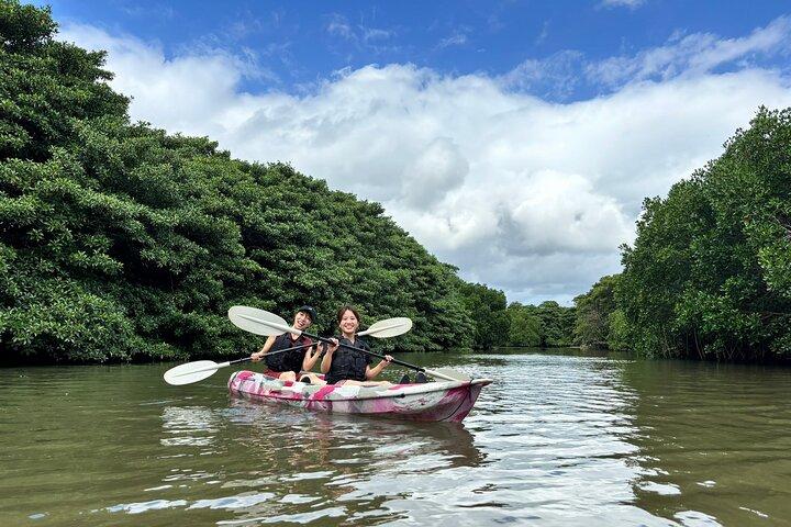 Ishigaki Mangrove Canoe ou SUP & Taketomi Island Exploration