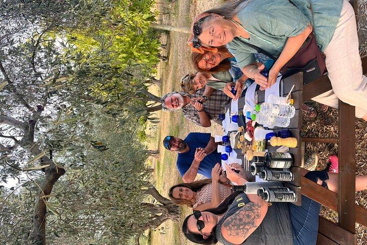 Skiathos Guided Olive Oil Tasting Experience