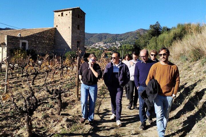 Segelausflug Barcelona und Besuch eines Weinguts in Tiana