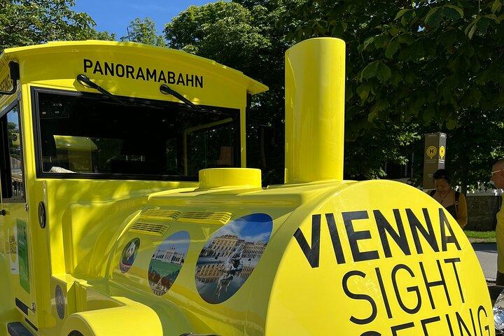 Vienna Palazzo Schönbrunn e treno panoramico