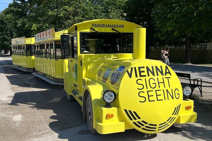 Vienna Palazzo Schönbrunn e treno panoramico