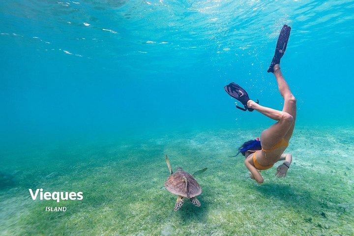 Excursion en bateau tout compris : Icacos ou Vieques