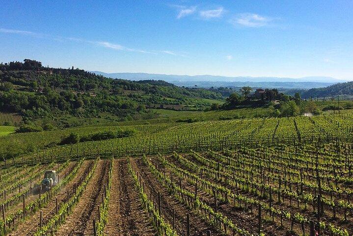 Vinelskere oplever i Montepulciano: halv dag