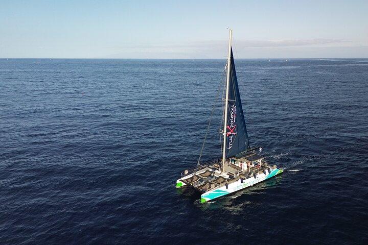 Excursion en catamaran écologique avec dégustation de nourriture