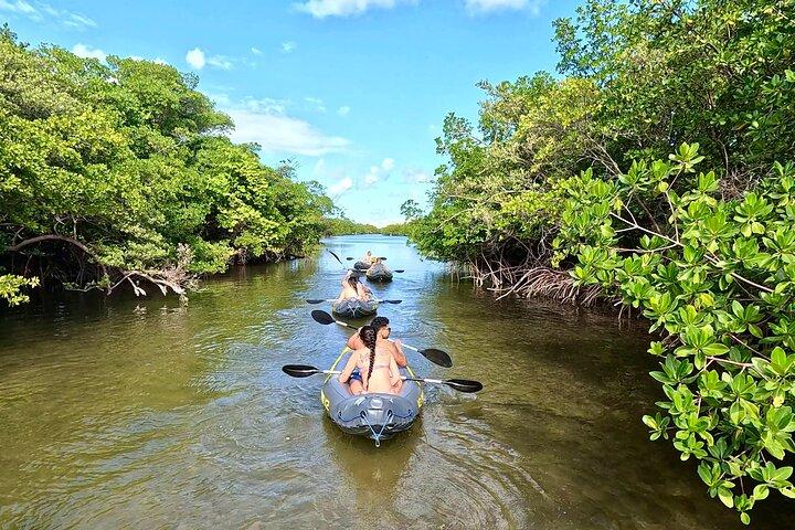 Fort Lauderdale: Offerta combinata Snorkeling Reefs, Kayak/SUP Mangrovie