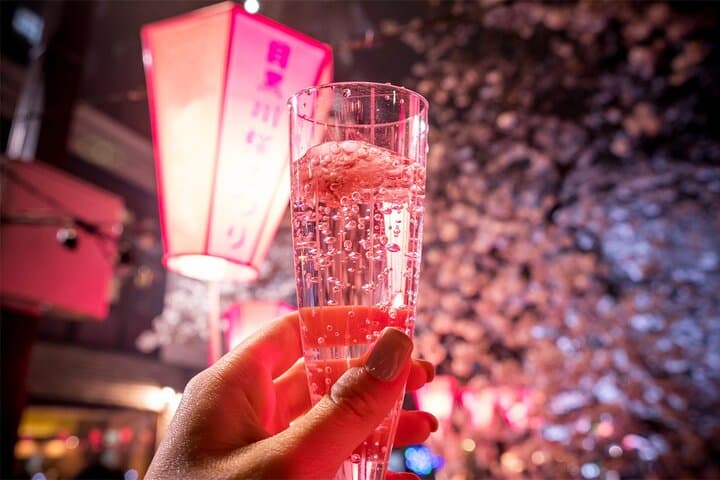 Tokyo Cherry Blossom Tour 5 Iconic Spots with Optional Lunch