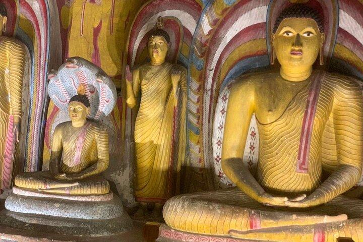 丸3日 寺院 農家の歴史 自然と村の生活